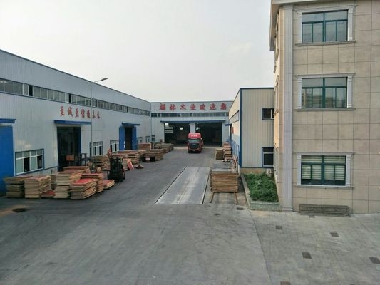 不同模板材料成本效益分析