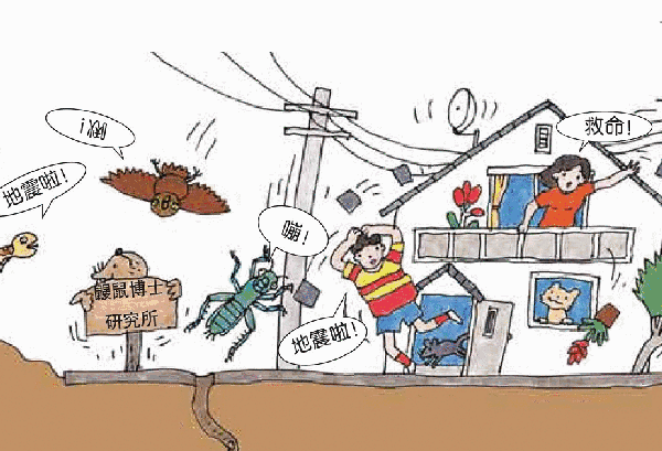 地震多發(fā)區(qū)農(nóng)居安全措施