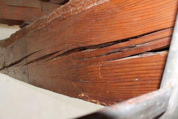 建筑加固后的病蟲害防治 行業(yè)新聞 第5張