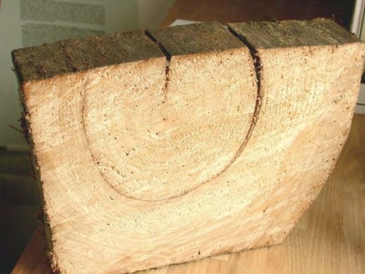 建筑加固后的病蟲害防治 行業(yè)新聞 第6張