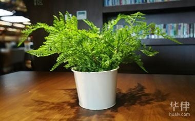 建筑設(shè)計圖紙版權(quán)查詢流程