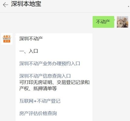 不動(dòng)產(chǎn)登記信息查詢指南 行業(yè)新聞 第3張