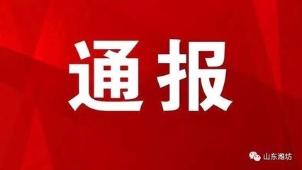 結(jié)構(gòu)加固項目負責(zé)人職責(zé)范圍
