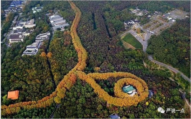 仿古材料在建筑加固中的應(yīng)用