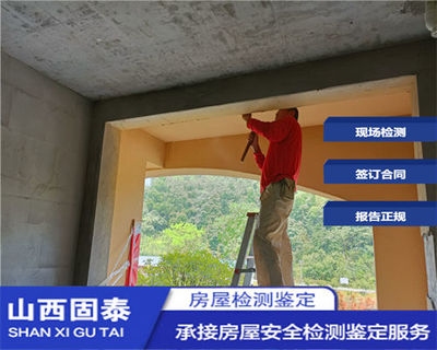 抗震加固技術(shù)的國(guó)際比較，加固技術(shù)的國(guó)際比較研究