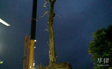 開一家50間房的賓館需要投資多少錢 行業(yè)新聞 第5張