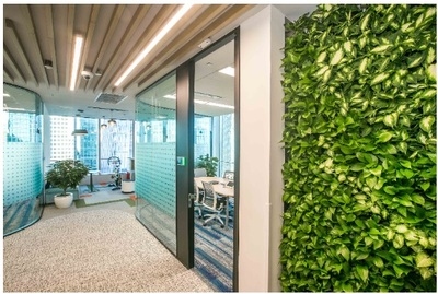 綠色辦公理念的具體實施，辦公實踐，實施策略 行業(yè)新聞 第4張