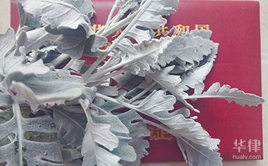 改商業(yè)用地一年，用地租賃期限調(diào)整與 行業(yè)新聞 第2張