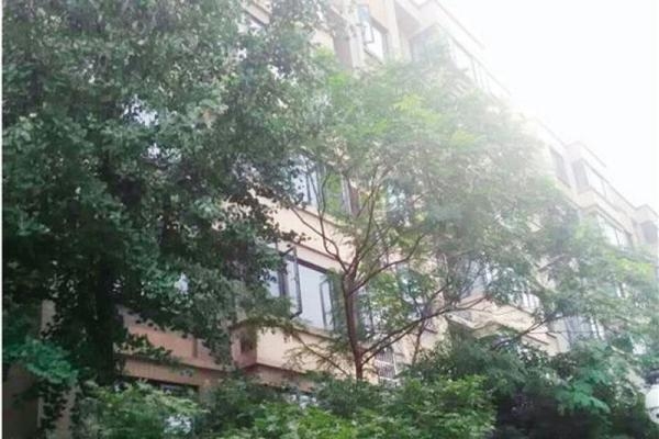 綠化設計對采光的影響，綠化設計對采光 行業(yè)新聞 第1張