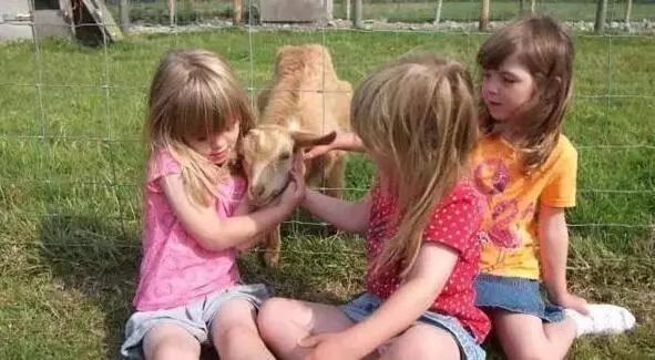 民宿公司簡(jiǎn)介怎么寫(xiě)，供你參考，你可以根據(jù)具體需求進(jìn)行選擇，，實(shí)用干貨型，超全攻略！民宿公司簡(jiǎn)介撰寫(xiě)要點(diǎn)大揭秘，引導(dǎo)啟發(fā)型，解鎖民宿魅力，教你寫(xiě)出吸睛的公司簡(jiǎn)介，直白簡(jiǎn)潔型，民宿公司 行業(yè)新聞 第4張