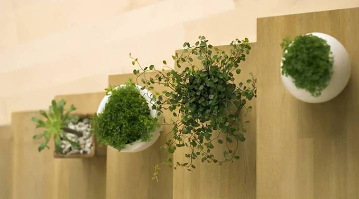 綠色建筑材料在工業(yè)建筑中的使用，幾種不同風(fēng)格的標題供你參考，你可以根據(jù)具體需求進行選擇，，綠色建材賦能工業(yè)建筑，開啟可持續(xù)發(fā)展新篇章，聚焦，綠色建筑材料于工業(yè)建筑領(lǐng)域的創(chuàng)新應(yīng)用，探秘綠色建筑材料在工業(yè)建筑中的多元運用之道 行業(yè)新聞 第1張