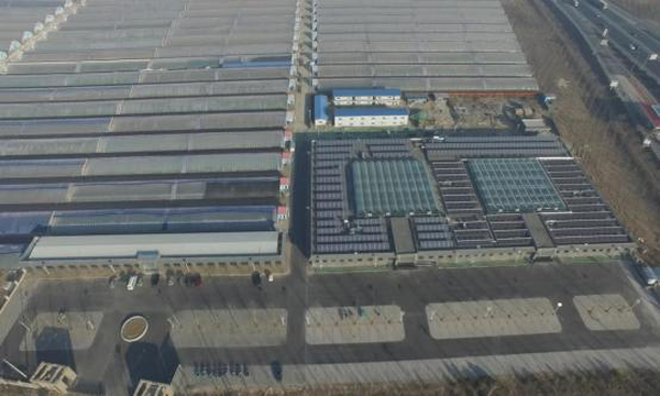 綠色農(nóng)業(yè)建筑設(shè)計(jì)創(chuàng)新，幾種不同風(fēng)格的標(biāo)題供你參考，，聚焦綠色農(nóng)業(yè)建筑，設(shè)計(jì)創(chuàng)新引領(lǐng)新潮流，解鎖綠色農(nóng)業(yè)建筑設(shè)計(jì)的創(chuàng)新密碼，綠色農(nóng)業(yè)建筑，以 行業(yè)新聞 第5張