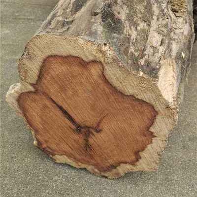 如何檢測(cè)罩面漆VOC含量，幾種不同風(fēng)格的標(biāo)題供你參考，，專業(yè)嚴(yán)謹(jǐn)風(fēng)，罩面漆VOC含量檢測(cè)方法解析，實(shí)用指南風(fēng)，輕松掌握，檢測(cè)罩面漆VOC含量的有效途徑，疑問(wèn)引導(dǎo)風(fēng)，怎樣精準(zhǔn)檢測(cè)罩面漆中的VOC含量？