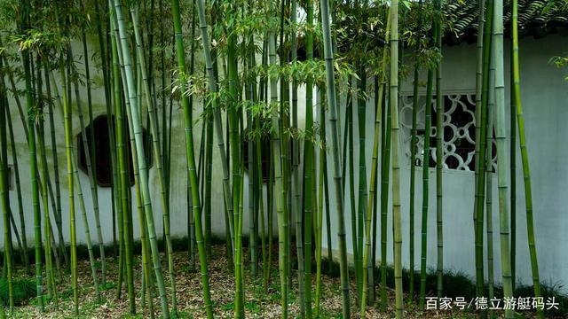 建筑模板材料環(huán)保性能比較，供你參考，你可以根據(jù)具體需求進(jìn)行選擇，，聚焦建筑模板材料，環(huán)保性能大比拼，深度剖析，建筑模板材料的環(huán)保性能差異，探尋建筑模板材料環(huán)保性能