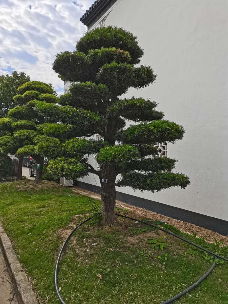 未央加固設(shè)計公司（未央加固設(shè)計公司哪家口碑最好？）