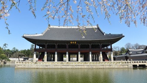 黃山風景加固設計公司（黃山地區(qū)涉及風景加固設計公司） 行業(yè)新聞