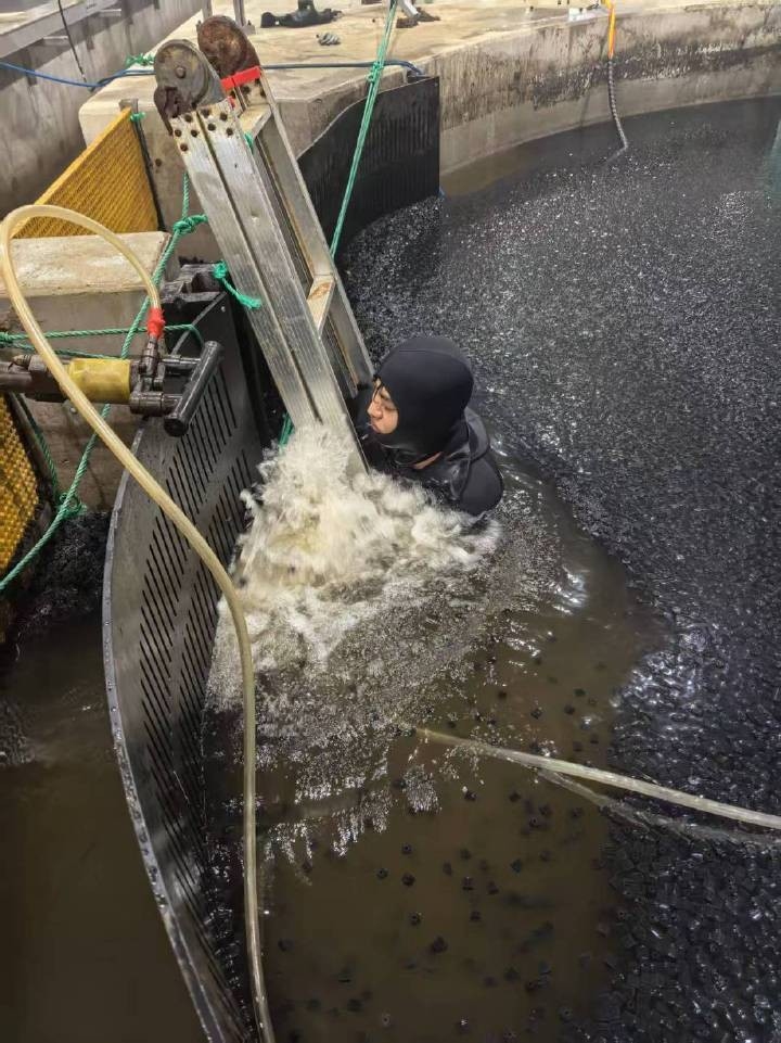 香河加固設(shè)計(jì)公司