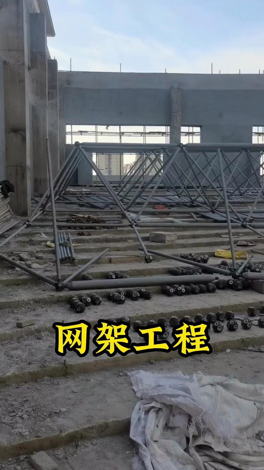 球形網(wǎng)架結(jié)構(gòu)圖片 行業(yè)新聞 第10張