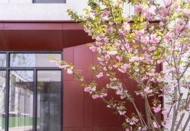 吳江鋼結構廠有出租