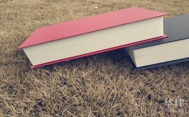 莘縣鋼結構公司待遇與福利介紹（莘縣鋼結構公司哪個待遇最好？）