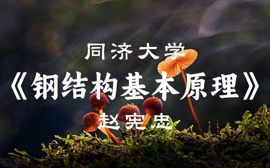給我一份《鋼結構基本原理》的詳細目錄（《鋼結構基本原理》的詳細目錄）
